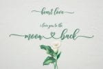 Heart Love Font