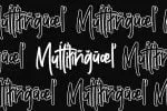 Heathers Handwritten Brush Font