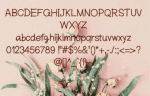 Heaven Font