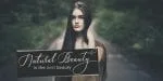 Heavenly Font Family