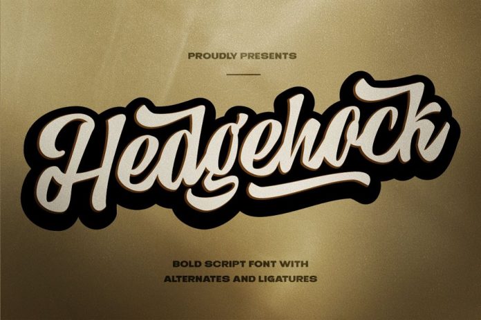 Hedgehock - Bold Script Logo Font
