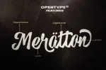 Hedgehock - Bold Script Logo Font