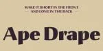 Hedon Display Font