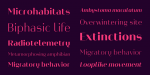 Heimat Display Font