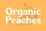 Heirloom: A Good-Natured Font