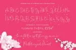 Helen Paris Font