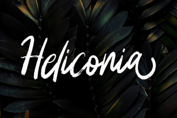 Heliconia Font