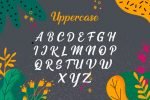 Helio Tropisme Font