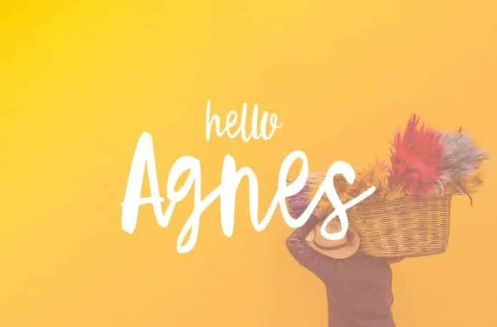 Hello Agnes Font