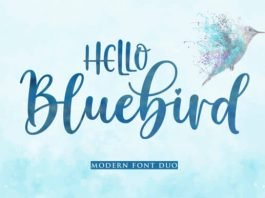 Hello Bluebird Font