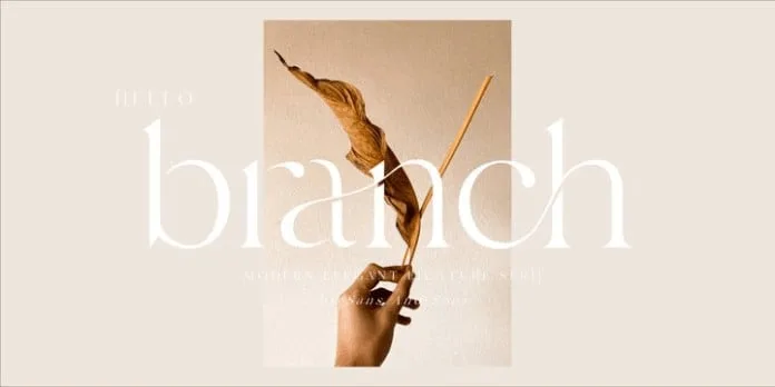 Hello Branch Font