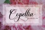 Hello Crystal Font