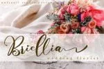 Hello Martha Font