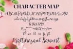Hello Masha Script