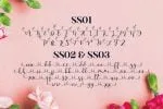 Hello Masha Script