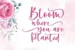 Hello Mydear - Script Romantic Fonts