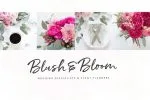 Hello Pretty! Casual Brush Font