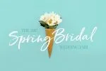 Hello Pretty! Casual Brush Font