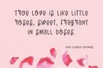 Hello Rosie Font