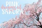 Hello Sakura Font