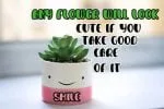 Hello Wednesday Font