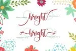 Blush Night Font