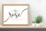 Blush Night Font