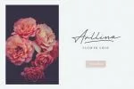 Hertine Font