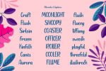 Heylolly Font