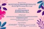 Heylolly Font