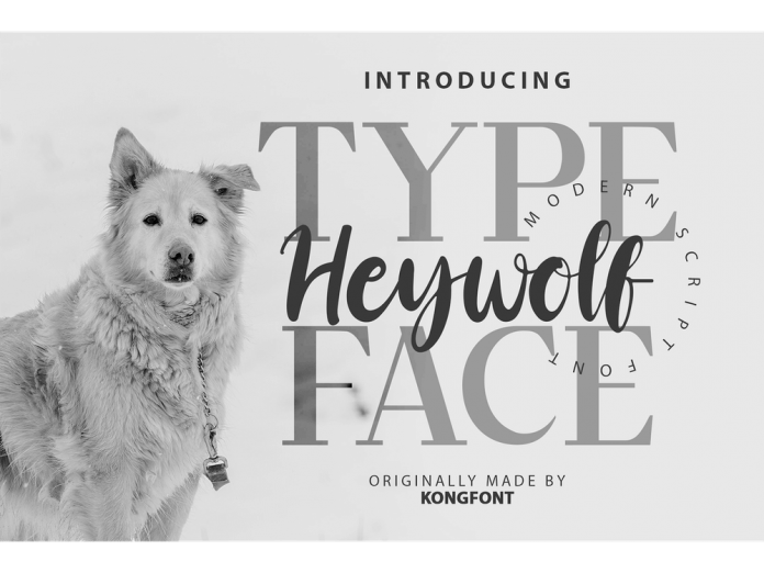 Heywolf - Modern Script Font