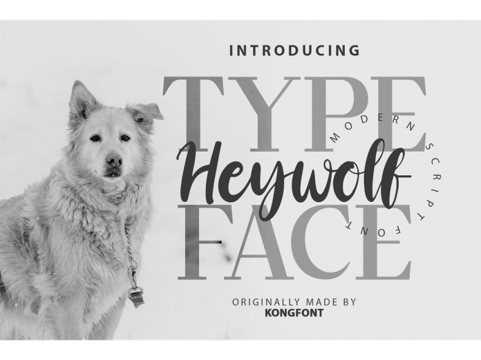 Heywolf - Modern Script Font