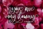 Hi Virginia Handlettering Font