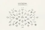 Hiatus Brush Font & Illustrations