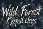 Higher Reach Font