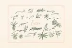 Highland Script Font