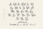 Hildegard Script Font