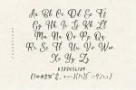 Hildegard Script Font