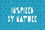 Hippo in the Woods Font