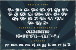 Holicya Font