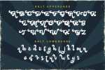 Holicya Font