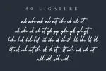 Holiday - Bold Signature Font