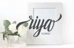 Holidays Typeface Font