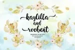 Hollic Brush Font