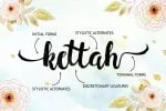 Hollic Brush Font