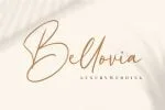 Hollie Mally Font