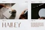 Holllard Font