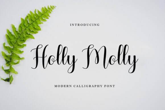 Holly Molly Font