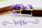 Holly Script Font