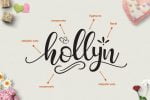 Hollyn Font